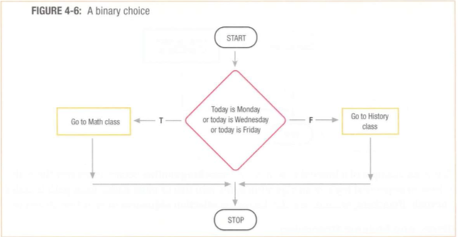 An infographic about depicting a "Binary Choice Branching Algorithm"